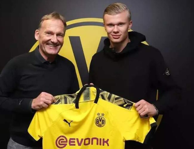 场可靠性 场可靠性